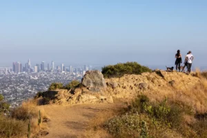 A family with two dogs hiking at Griffith Park in Los Angeles, California, looking out over the LA skyline